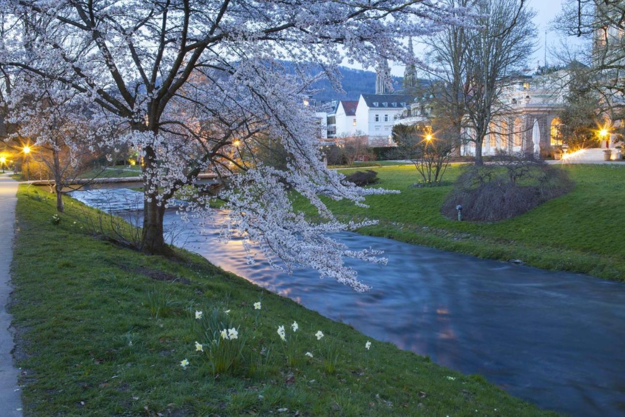 Eckberg Apartment Near City Centre & Nature Baden-Baden Dış mekan fotoğraf