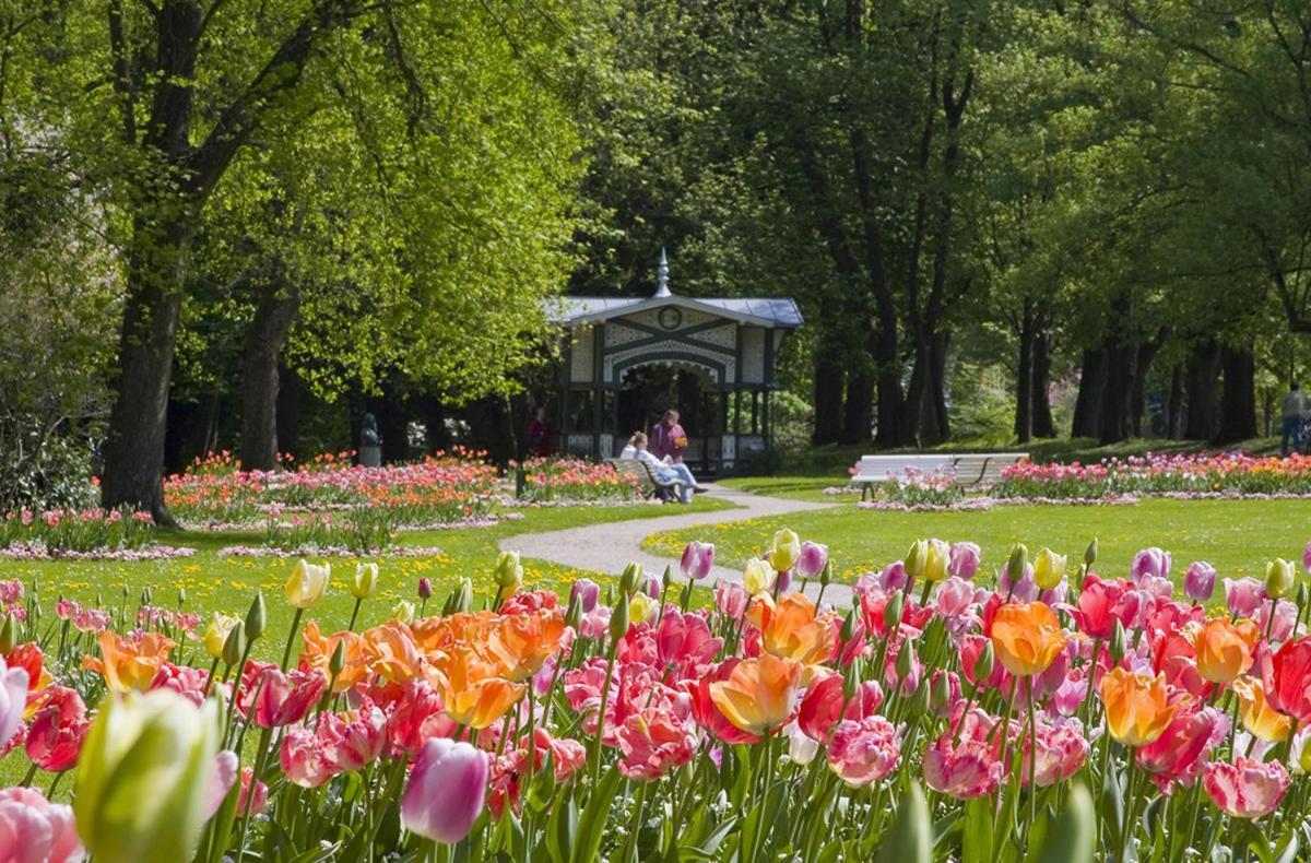 Eckberg Apartment Near City Centre & Nature Baden-Baden Dış mekan fotoğraf