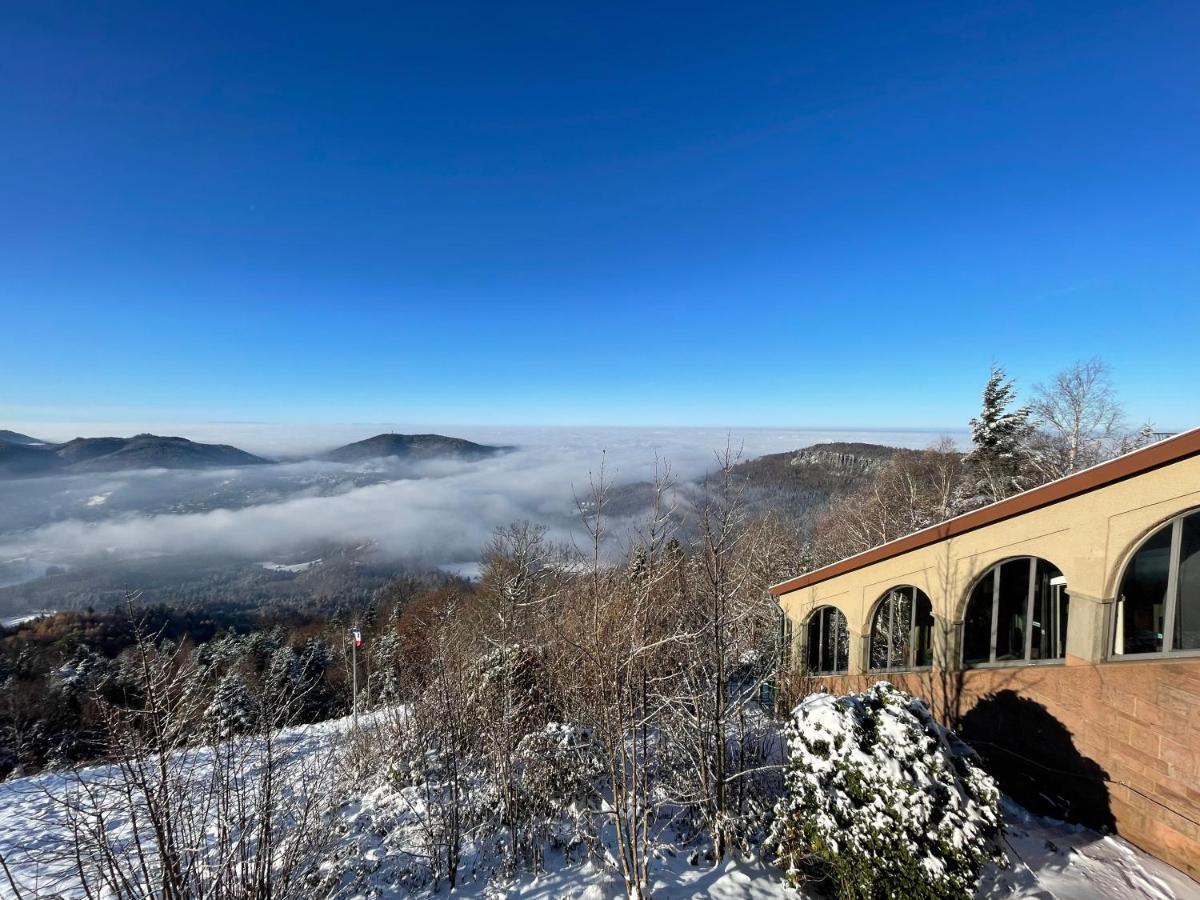Eckberg Apartment Near City Centre & Nature Baden-Baden Dış mekan fotoğraf
