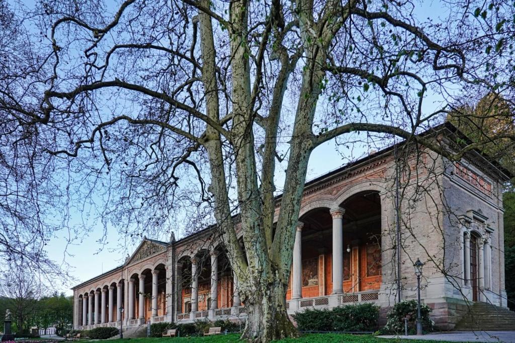 Eckberg Apartment Near City Centre & Nature Baden-Baden Dış mekan fotoğraf